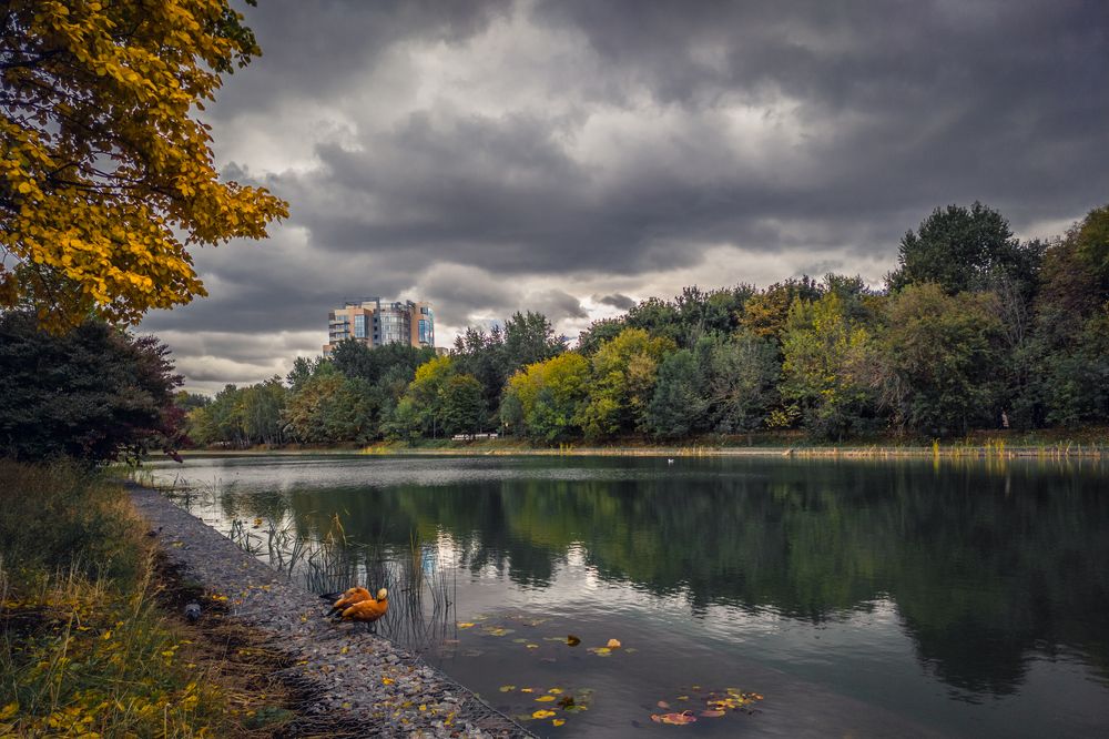 Photograph by Сергей Алексеев