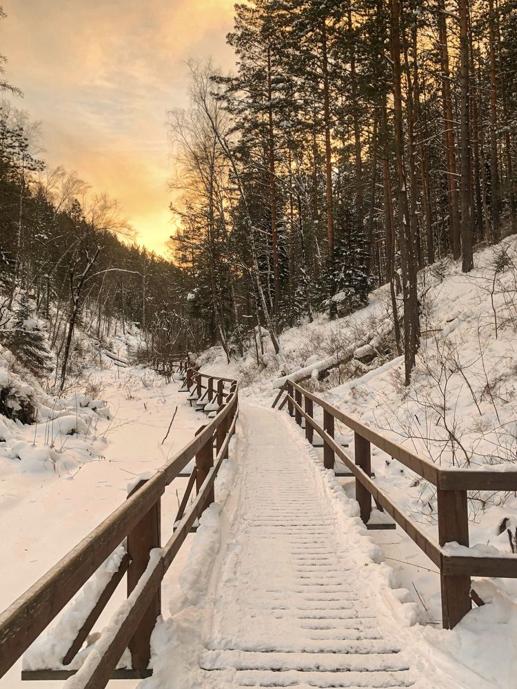 Фотография автора Светлана Гончарова
