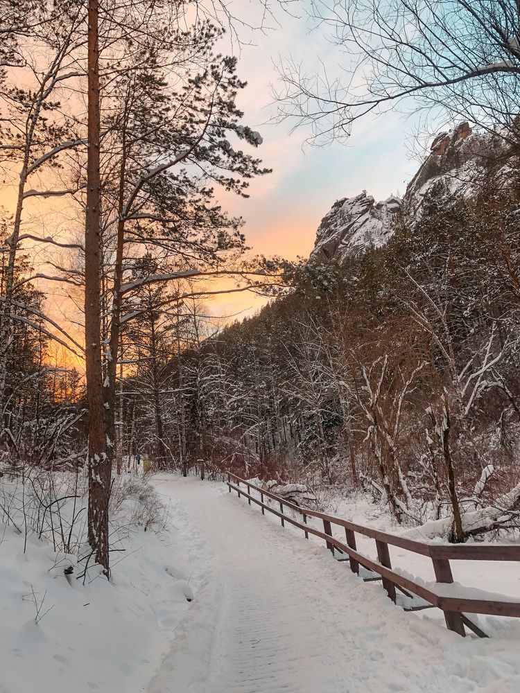 Фотография автора Светлана Гончарова