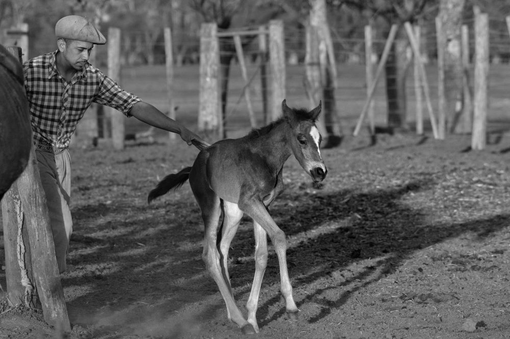 Photograph by Danny Zelener