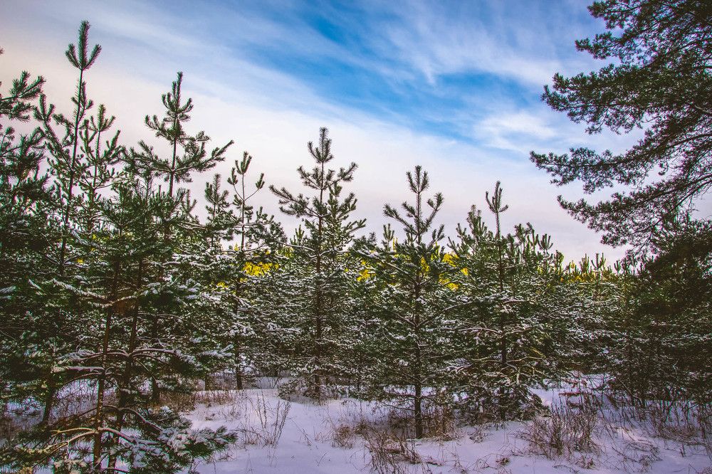 Photograph by Андрей Епишев