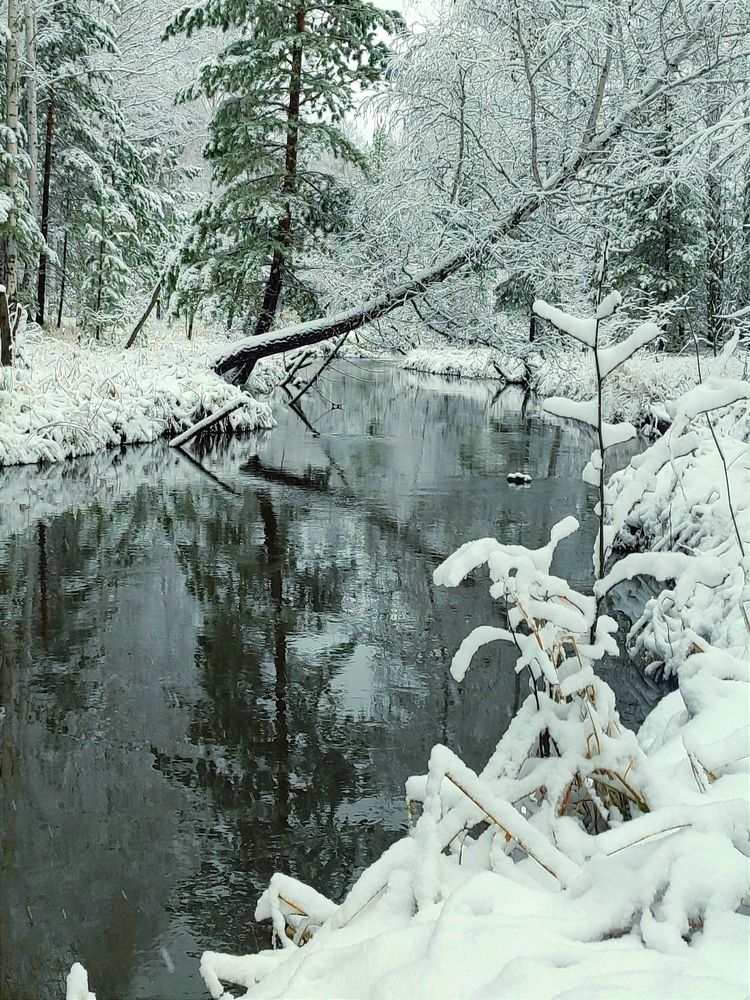 Photograph by Юлия Гинтер