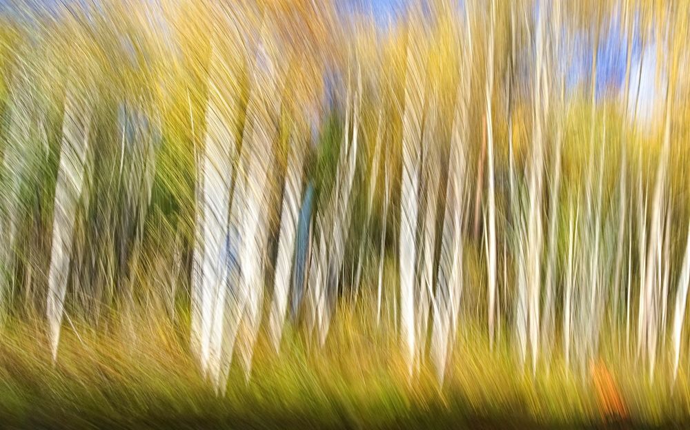 Photograph by Boeva Yuliya