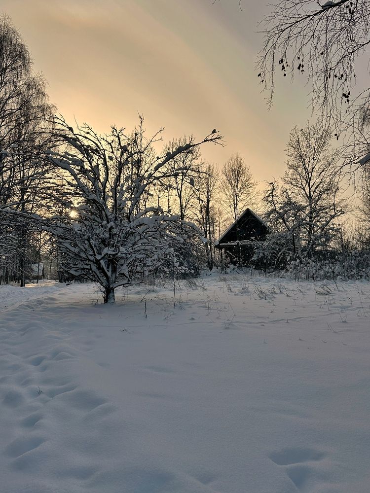 Photograph by Алексей Поляков