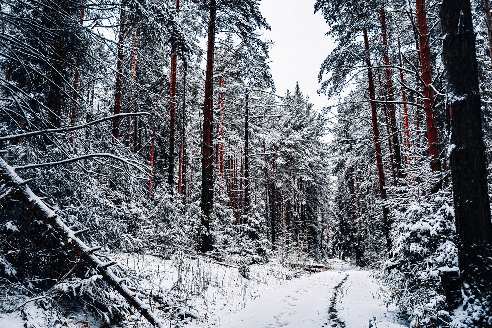 Photograph by Артём Александрович