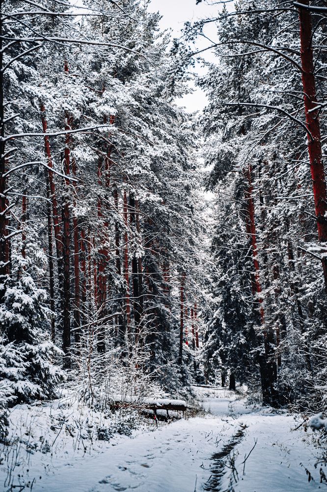 Photograph by Артём Александрович