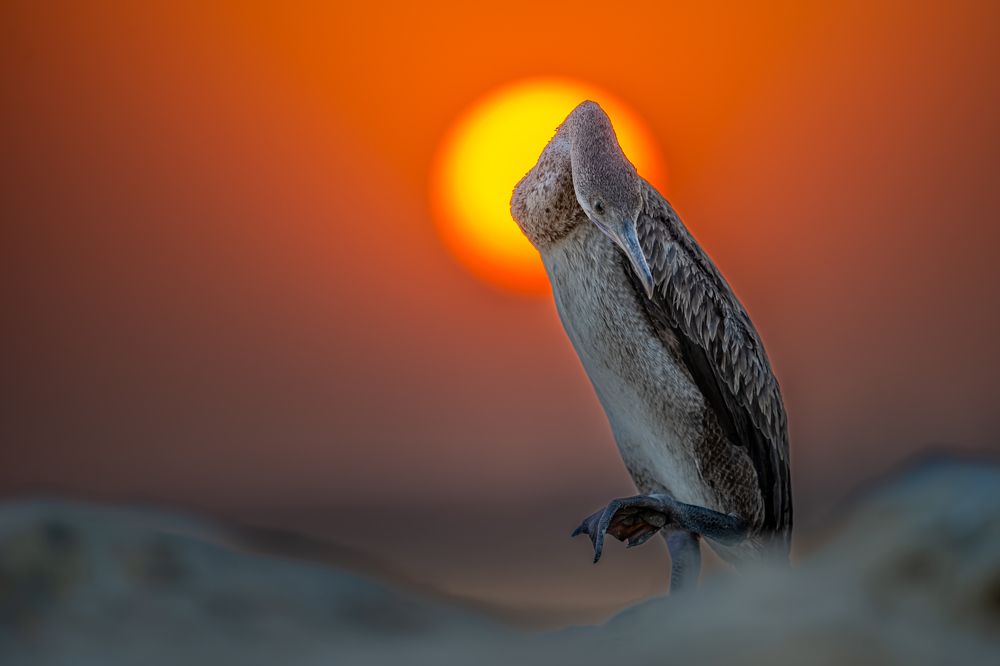 Photograph by Sunil Dhar