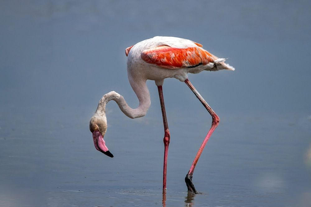 Photograph by Sugha Bapodara