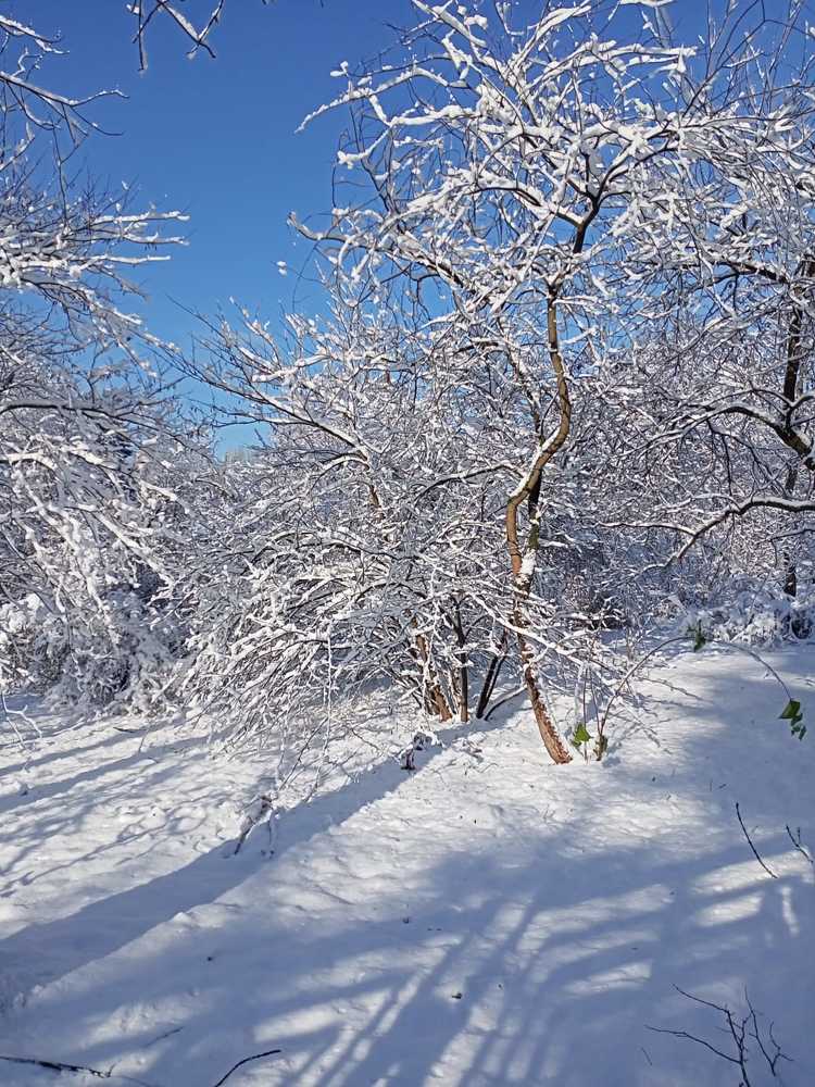 Photograph by Адамян Анна