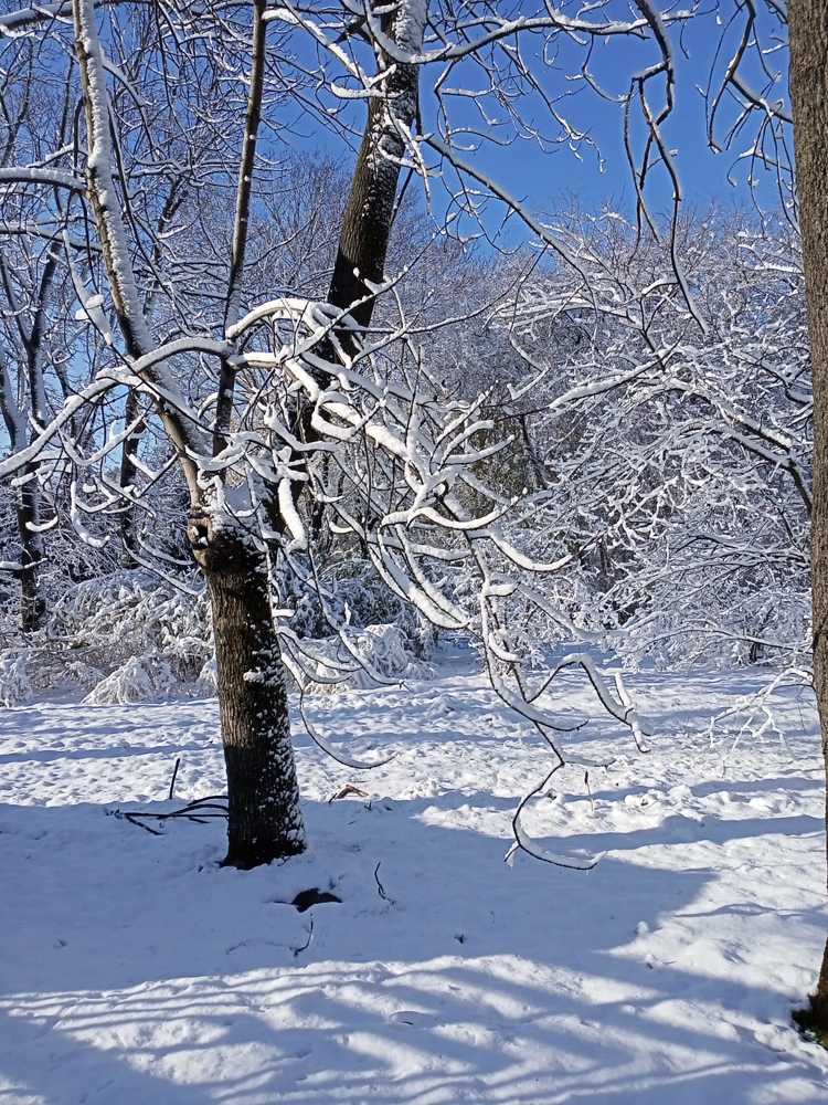 Photograph by Адамян Анна