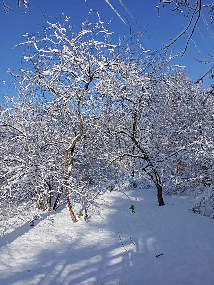 Photograph by Адамян Анна