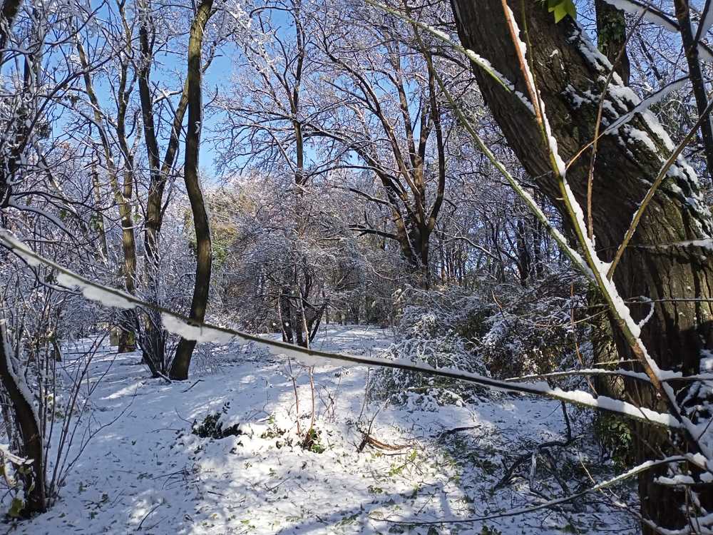 Photograph by Адамян Анна