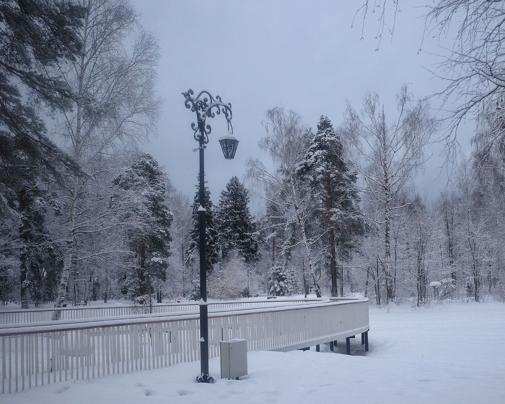 Photograph by Наталья Сафронова