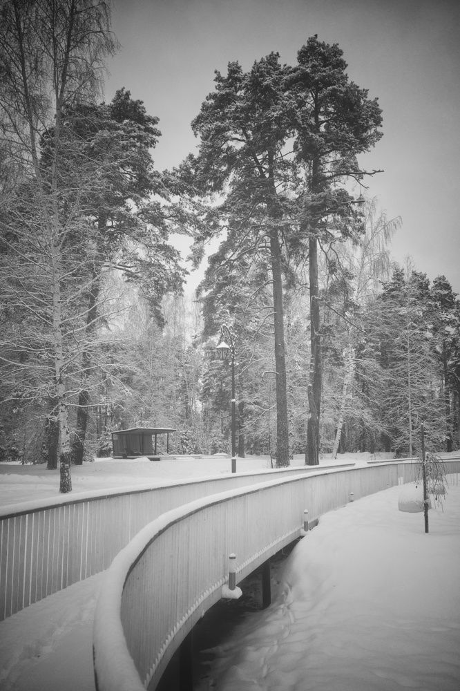 Photograph by Наталья Сафронова