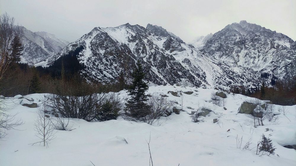 Photograph by Анна Курлова