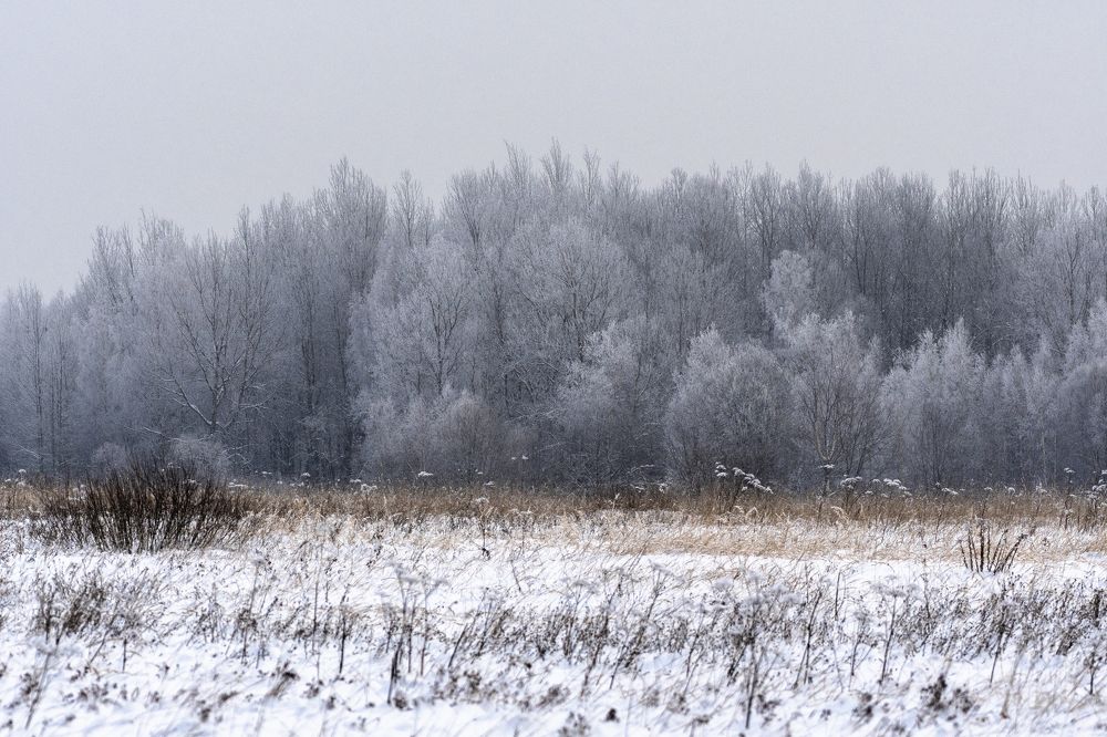 Photograph by Максим Рати