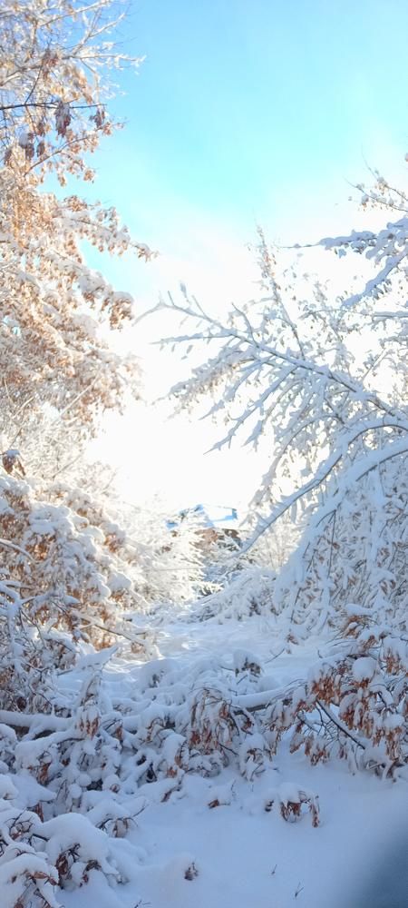 Photograph by Ольга Лагунова