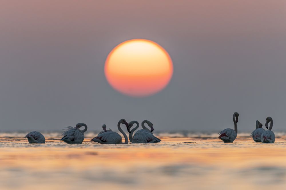 Photograph by Sunil Dhar