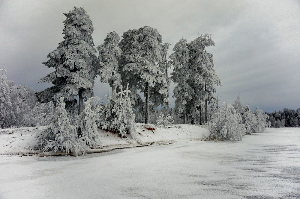Морозные кружева