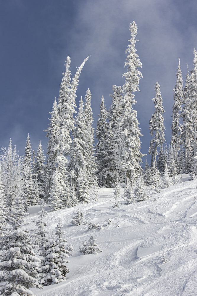 Photograph by Елена Павлова