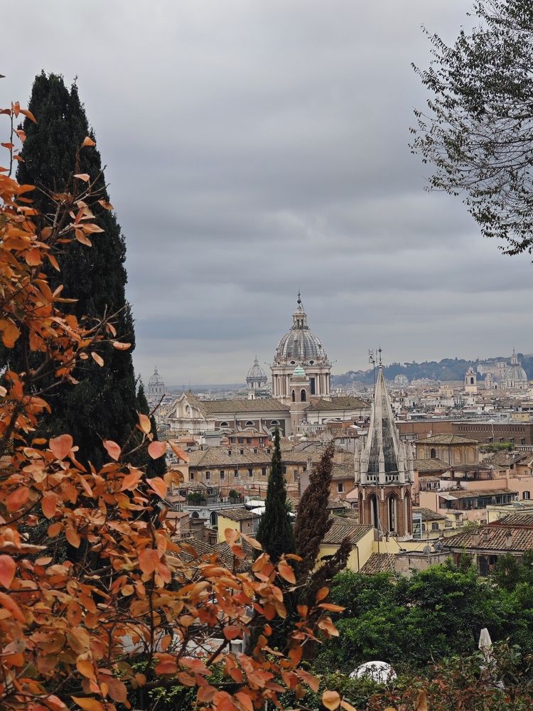 Photograph by Олег Сальников