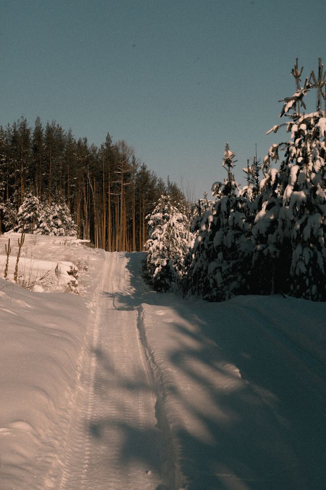 Photograph by Olivka Ulyanova
