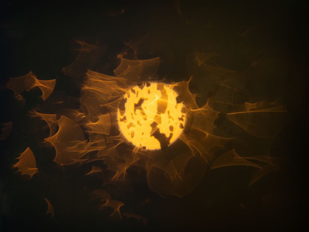 Photograph by Margarita Presidentova