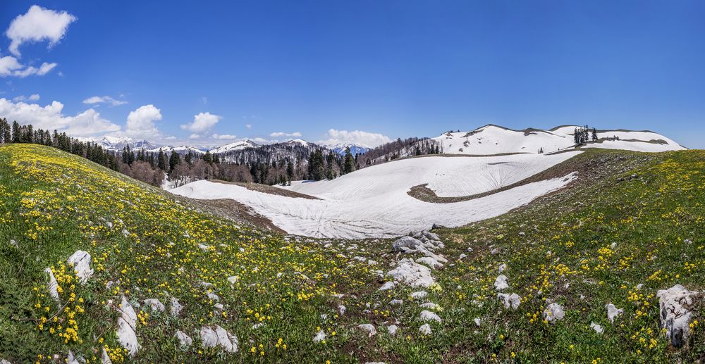 Почти весна