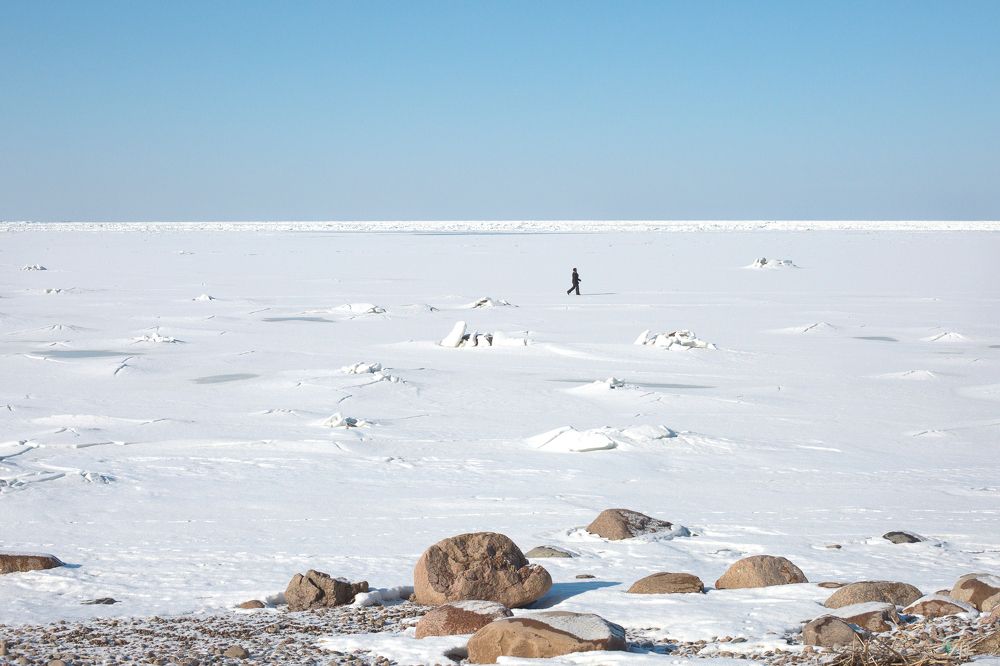 Photograph by Старикова Светлана