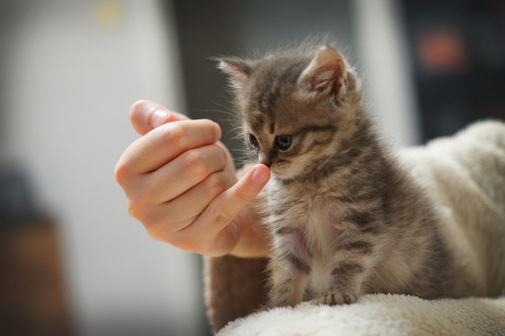 Photograph by Олег Чубайкин