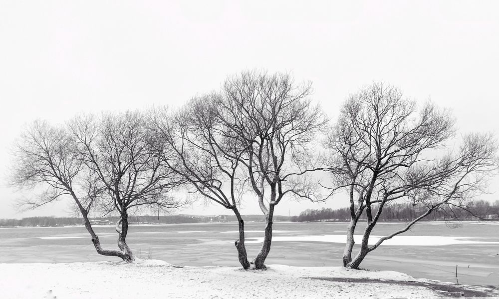 Photograph by Надежда Смирнова