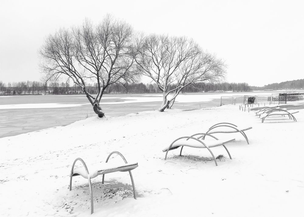 Photograph by Надежда Смирнова