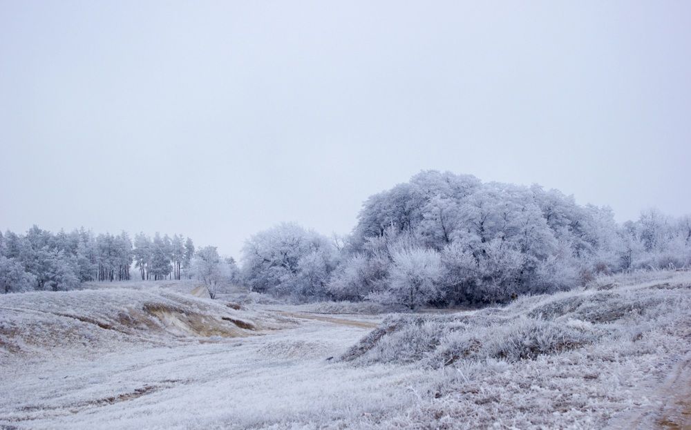 Photograph by Галчонок Ахмерова