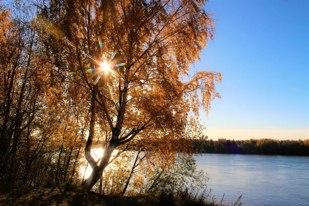 Photograph by Екатерина Апрелева