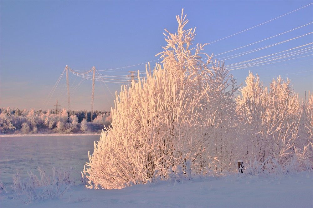 В Погоне За Прекрасным