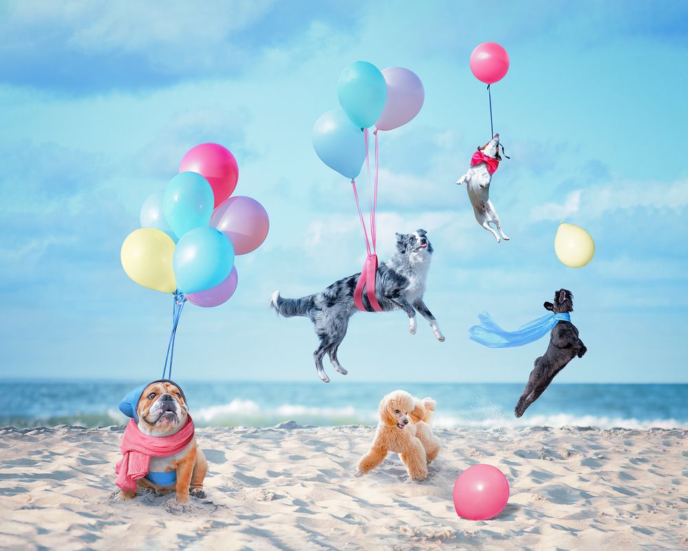 Photograph by Татьяна Полякова