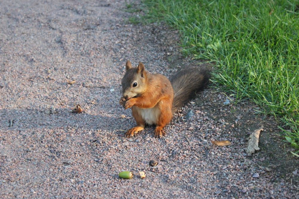 Photograph by Екатерина Апрелева