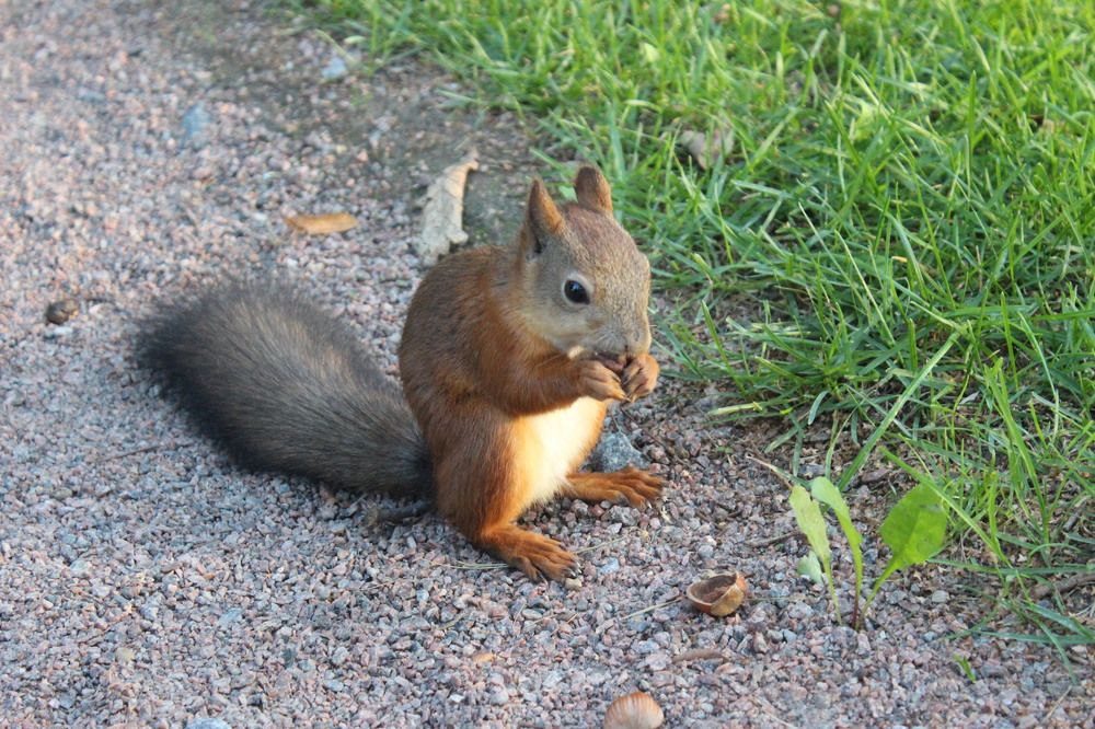 Photograph by Екатерина Апрелева