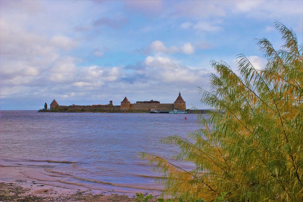В Погоне За Прекрасным