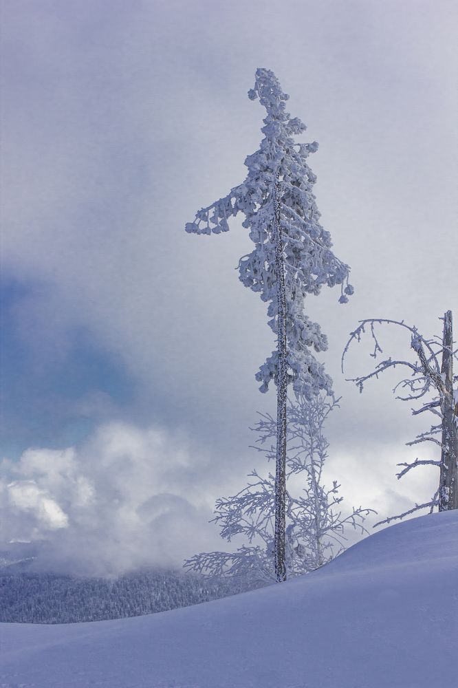 Photograph by Елена Павлова