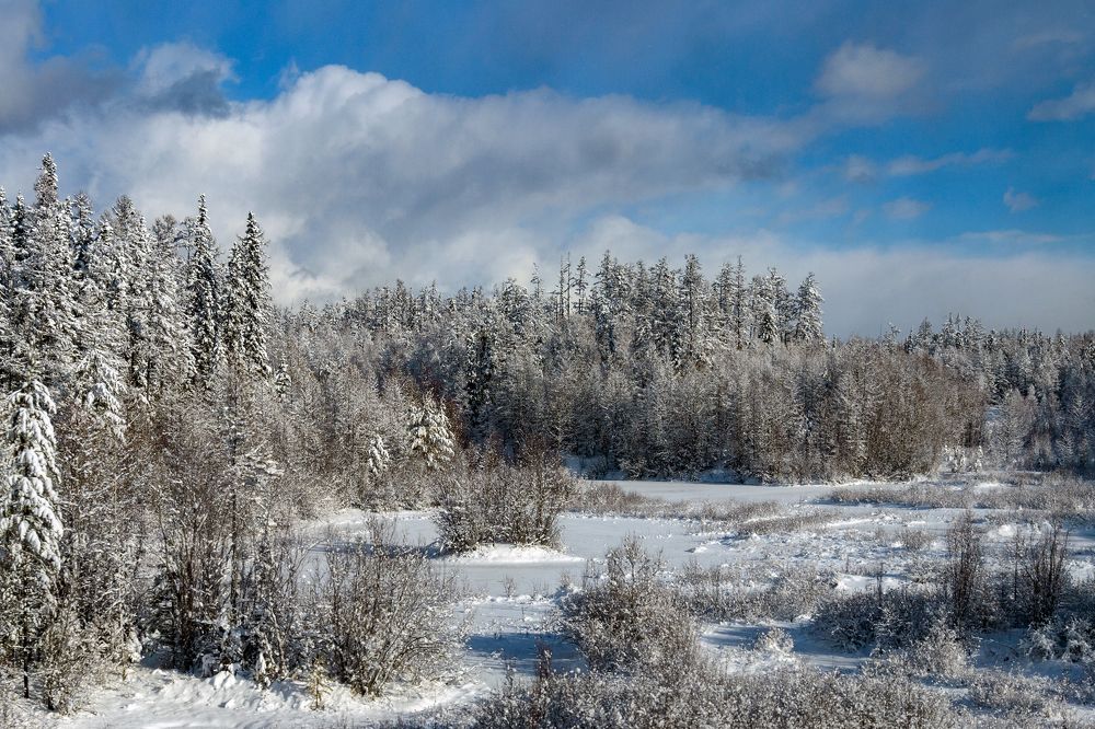 Photograph by Vasilyev Andrey