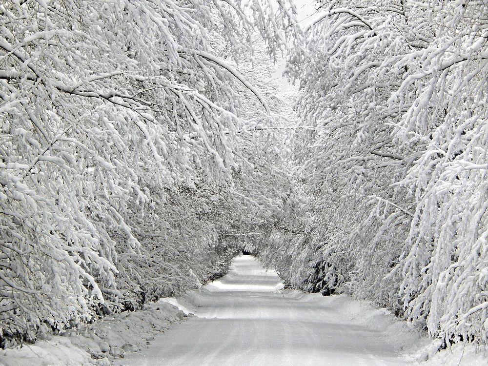 Дорога Деда Мороза