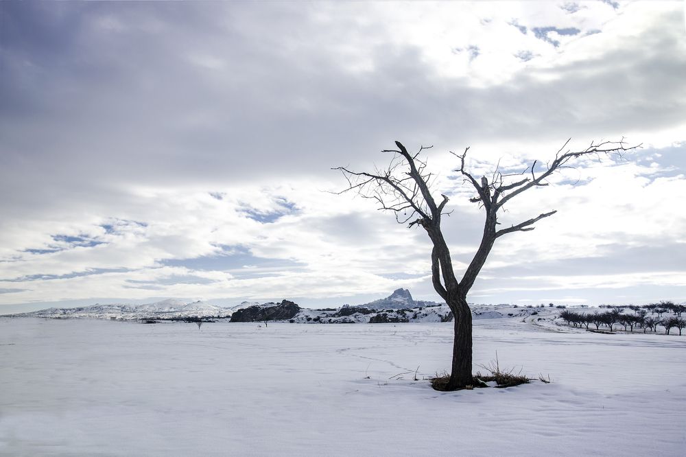 Photograph by Mürvet Rişvanoğlu