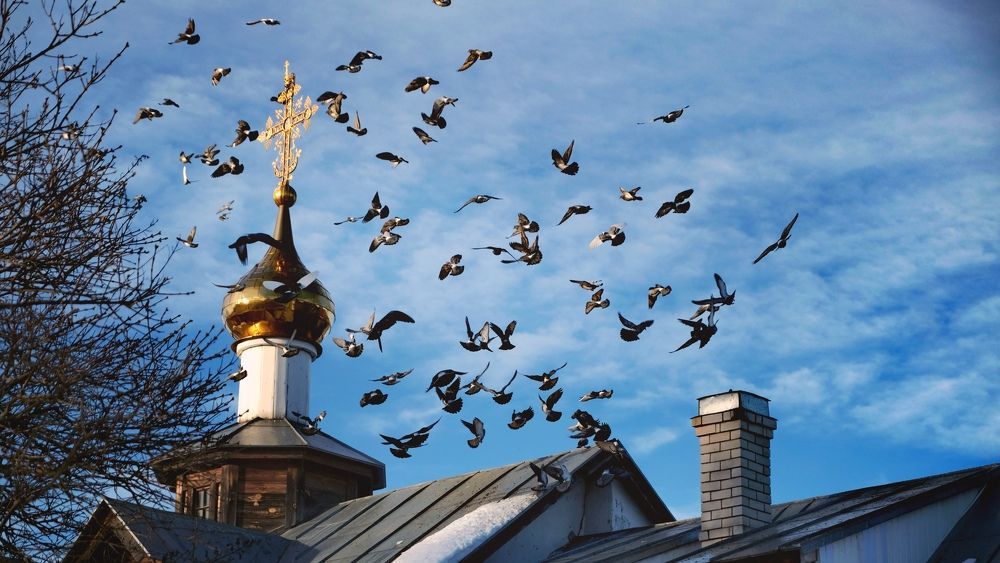 Photograph by Наталия Питолина