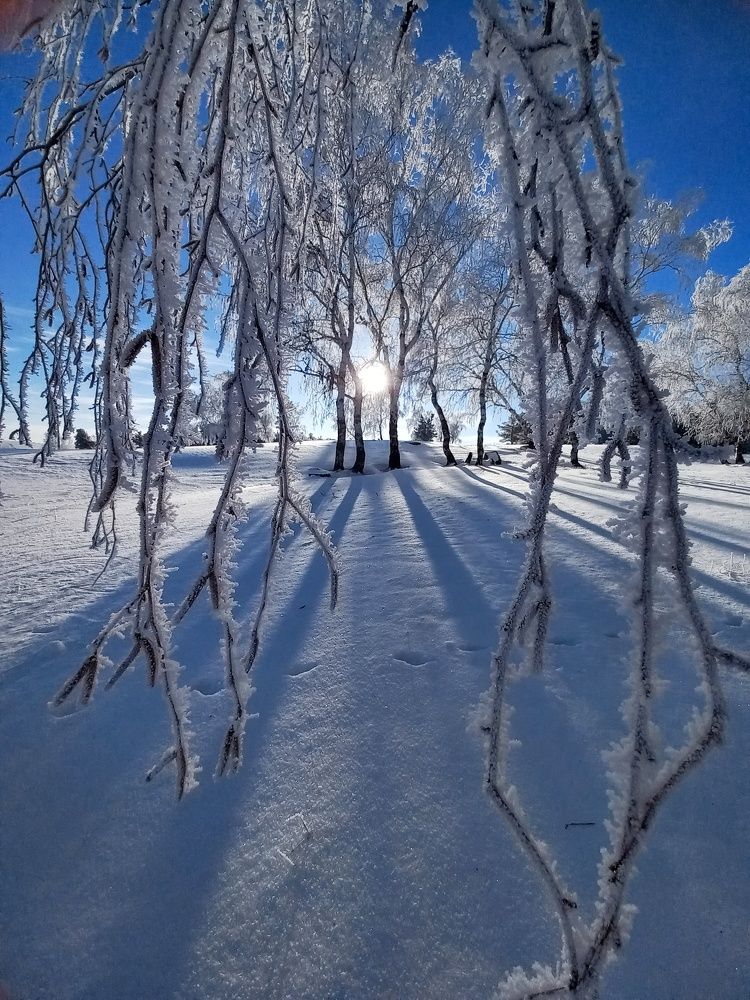 Photograph by Александра Королёва
