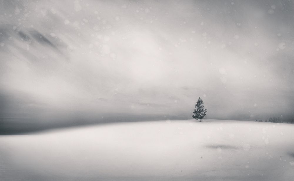 Photograph by Petya Lazarova