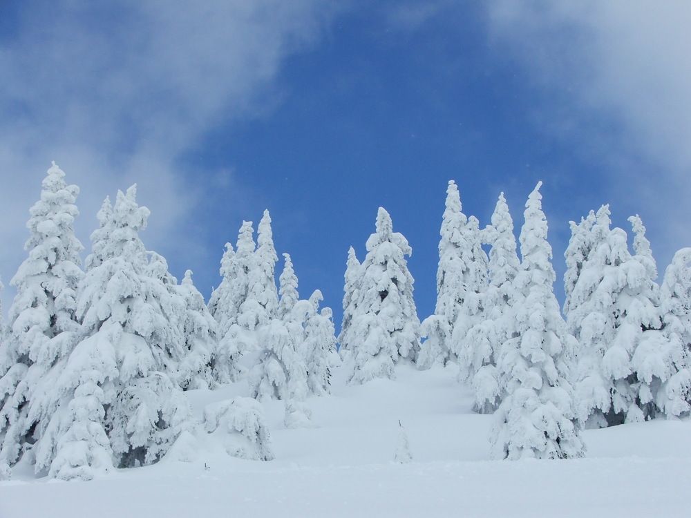 Photograph by Cengiz Yalcin