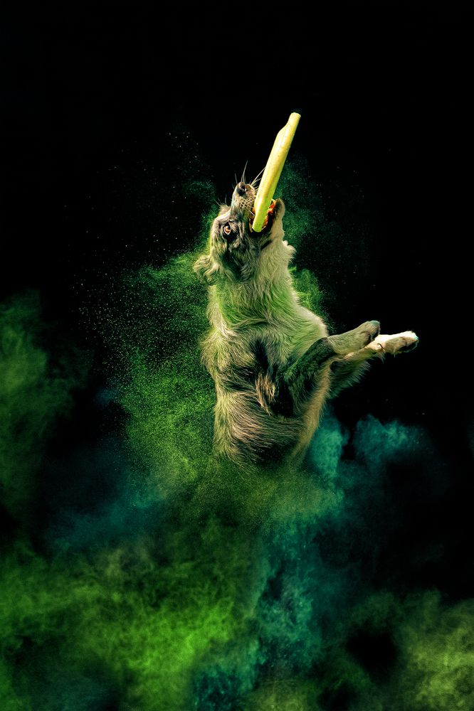 Photograph by Татьяна Полякова