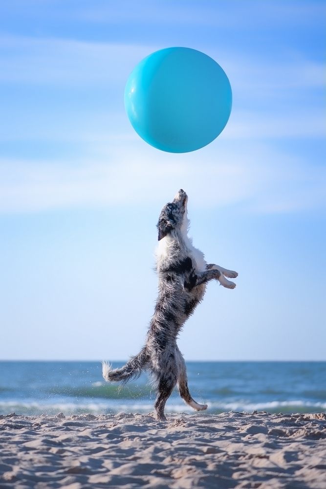 Photograph by Татьяна Полякова