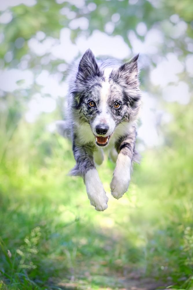 Photograph by Татьяна Полякова